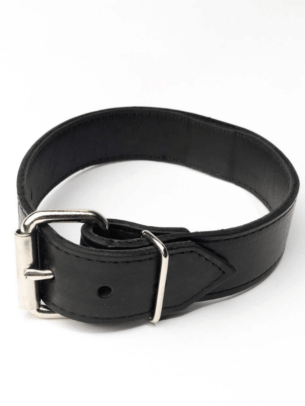 LEATHER COLLAR 1.25